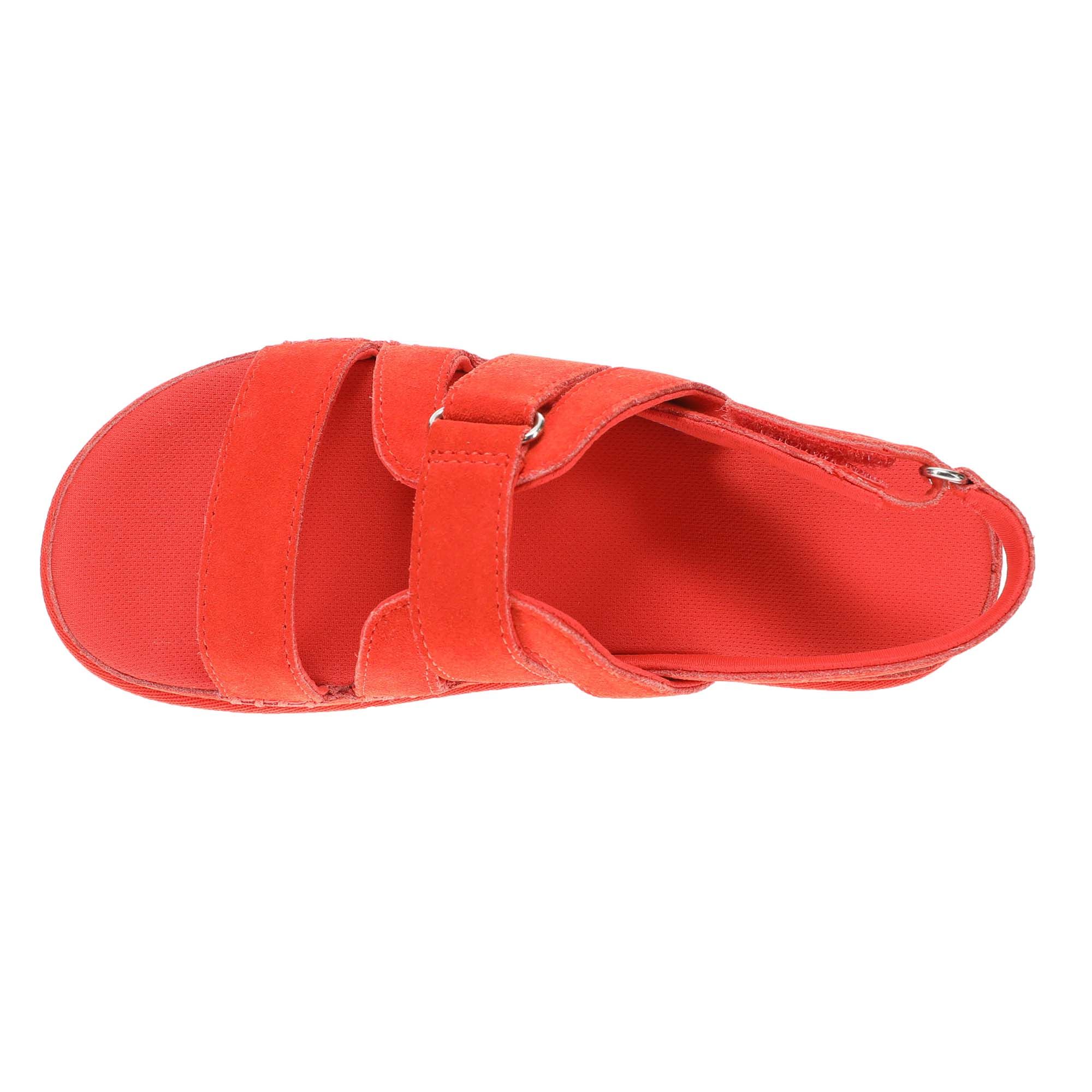 UGG® Goldenstar Gleam (Women's) | Free shipping available at